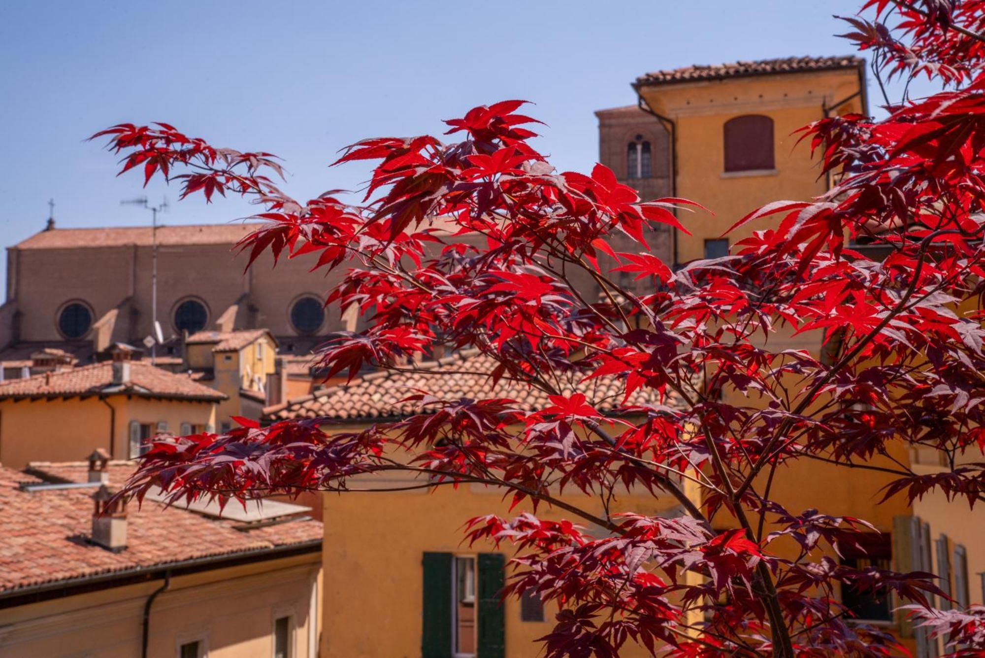 Piazza Maggiore Santa Margherita B&B Bologna Ruang foto